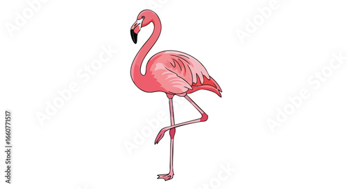 Elegant flamingo illustration showcasing its distinctive pink plumage and slender legs poised in a graceful stance isolated on white background