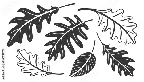 Elegant oak leaves in black and white, , showcasing the beauty of nature and the essence of autumn in a simple yet artistic design