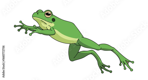 Cartoon green frog illustration on a white background showing aquatic amphibian in leaping pose illustration vector graphic design artwork