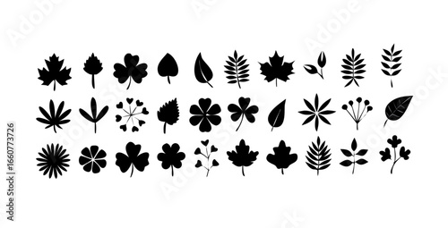 Set of different leaf for design element, nature vector illustration of various plant, tree, herb, clover, maple, marijuana, aster, birch, elm, oak
