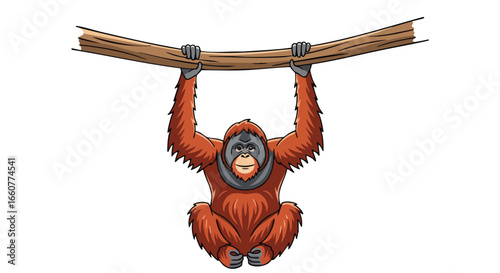 Orangutan Hanging from Branch Cartoon Illustration Featuring Wildlife Primate in Exotic Jungle Habitat Isolated on White for Education and Design