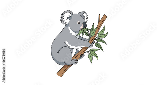 Koala Comfortably Clinging and Munching Leaves on a Tree Branch in an Illustrated Style