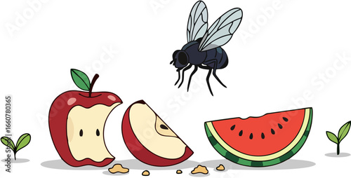 Fly Hovering Over Fruit Slice Vector Icon