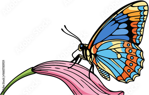 Colorful Butterfly on Pink Flower Vector Illustration