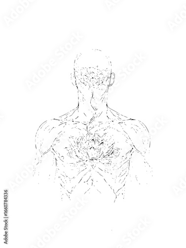 Chakra system art spiritual energy centers illustration spiritual healing, meditation, and holistic wellness through chakra alignment