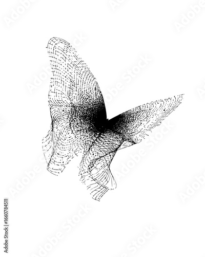 Chakra butterfly spiritual art - mystical symbolism art  transformation and chakra energy