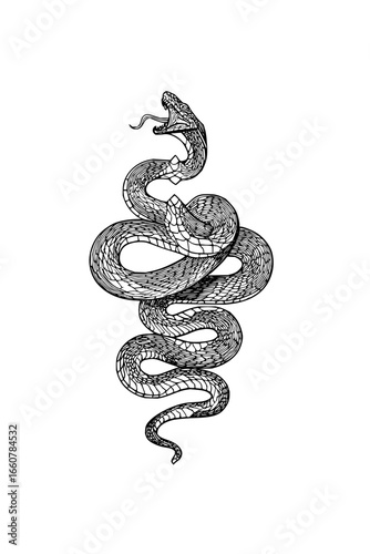 Kundalini serpent chakra energy Kundalini energy and chakra awakening Symbolizes spiritual power, healing, and mystical transformation 