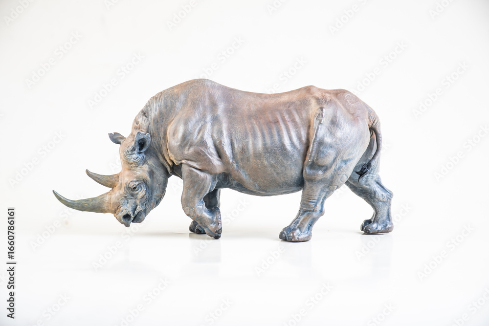 Obraz premium black rhino on isolated background
