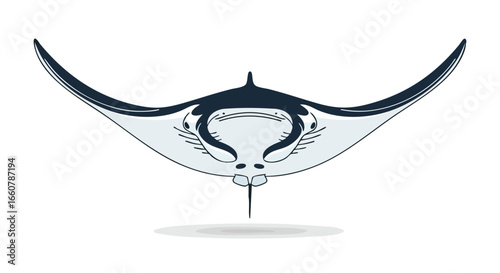 Captivating depiction of a manta ray gracefully swimming, showcasing its distinctive wings and elegant form gracefully gliding through the ocean