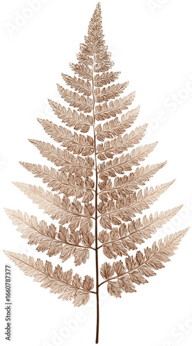 Leaf illustration element image on white background, Generative AI