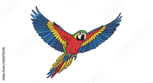 Vibrant macaw soaring with wings spread in a colorful and lively illustration against white backdrop