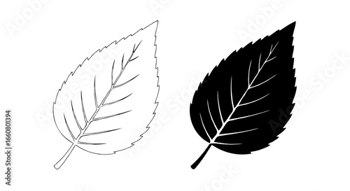 Leaf illustration in two styles side by side, left side thin line outline minimal line art, right side solid black silhouette, monochrome, no color, isolated on white background, clean vector style
