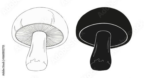 Mushroom illustration in two styles side by side, left side thin line outline minimal line art, right side solid black silhouette, monochrome, no color, isolated on white background, clean vector