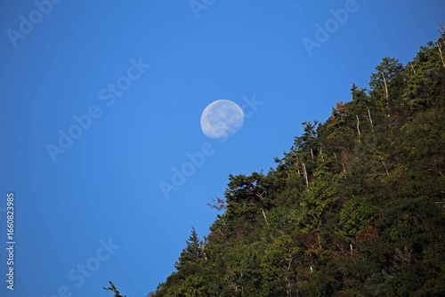 道の駅十津川郷からの満月