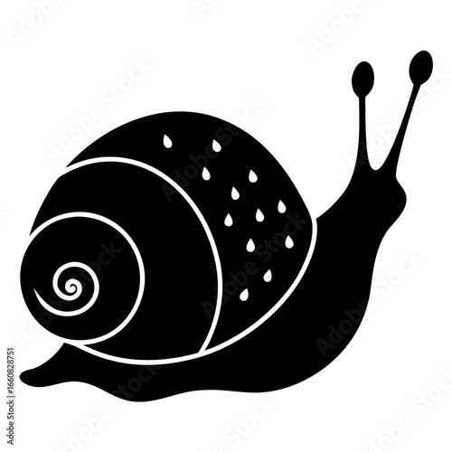 illustration of snail on a white background