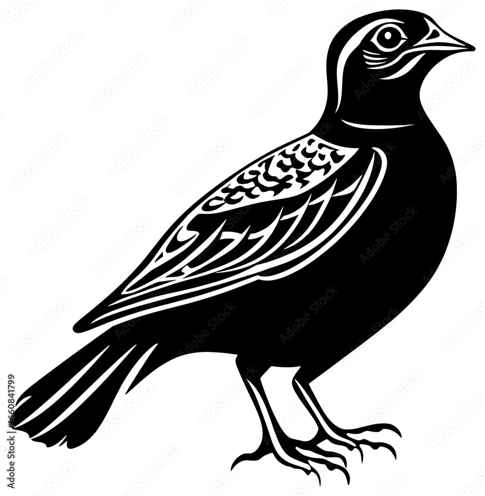 Obraz premium Quail Silhouette in Rustic Stillness