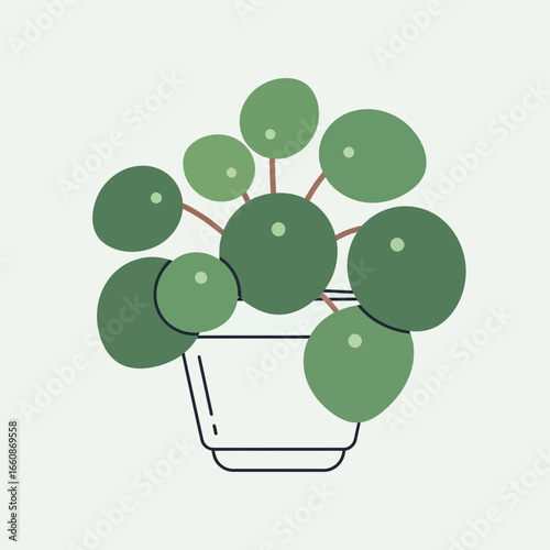 Illustration of a potted chinese money plant with round leaves on light background.