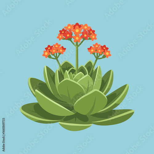 Cartoon succulent plant with orange flowers on a light blue background.