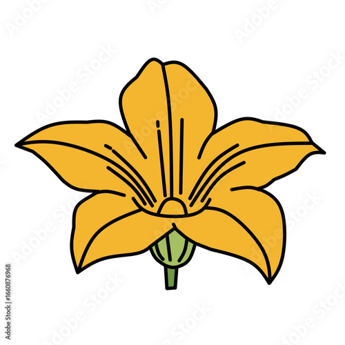 A stylized, symmetrical illustration features a single zucchini flower, centrally positioned against a stark white background. The flower is predominantly golden yellow, composed of five broad, slight