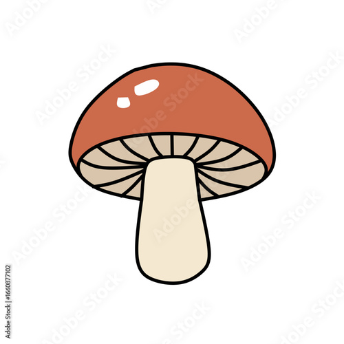 mushroom isolated on white background
