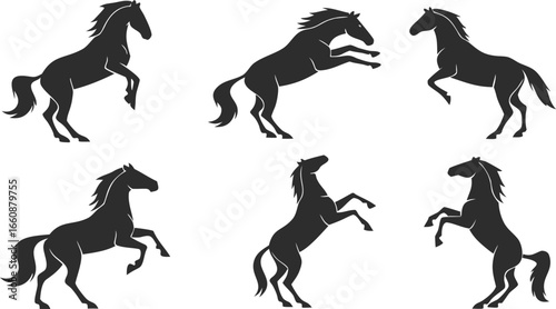 Silhouette of horses in various poses, standing, rearing, jumping, and prancing.