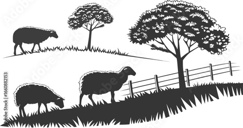 Silhouettes of sheep grazing on a hilly pasture with trees and a fence.
