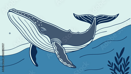 a blue whale swimming in the ocean.