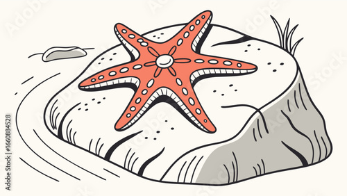 Vibrant Orange Starfish on Sandy Beach Illustration.