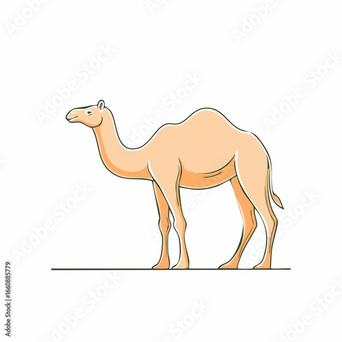 a camel standing on a flat surface.