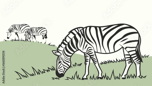 Zebras grazing in a green meadow with black and white stripes.