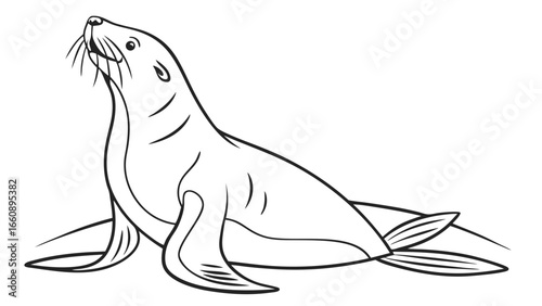 Cute Seal Line Art Illustration Looking Upward