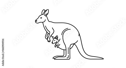Kangaroo with Joey in Pouch Line Art Illustration