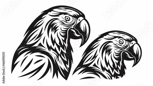 Two stylized parrot heads in black and white with intricate feather details and sharp beak outlines design