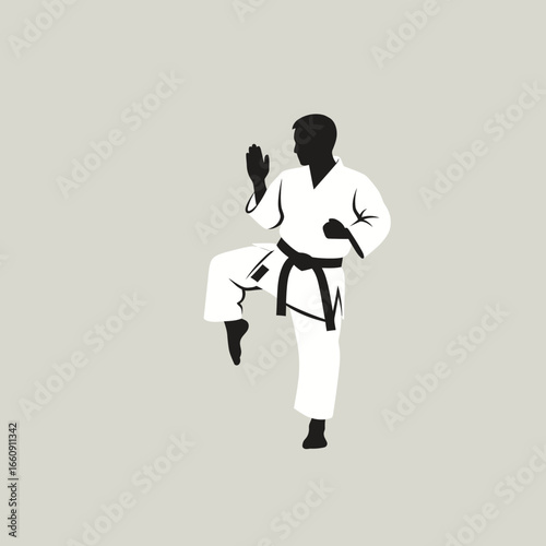 Silhouette of a person in a martial arts stance.