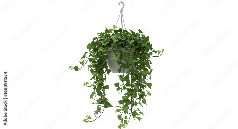 Fototapeta premium Lush green hanging ivy plant in a modern pot isolated on white background