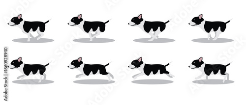Miniature Bull Terrier Running Side Cartoon Animation Frame Vector