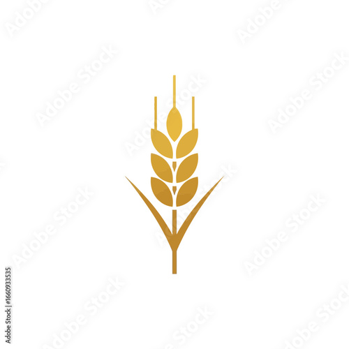 Golden wheat stalk on a white background.