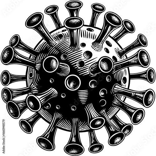 Detailed black and white woodcut illustration of a coronavirus particle with prominent spike proteins