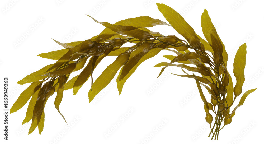 Obraz premium A vibrant seaweed arrangement isolated on white background creating a serene underwater scene