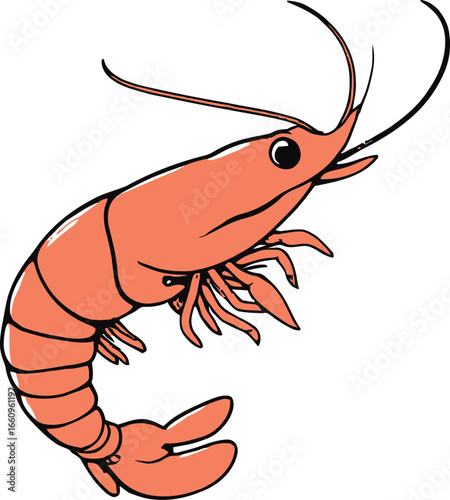 Cute cartoon a illustrator vector prawn