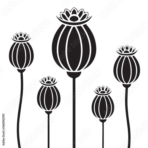 Stylized black silhouette of opium poppy seed pods on stems against a white background