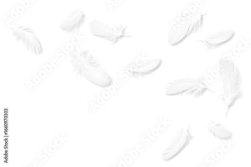 白い鳥の羽、影付きキリヌキ素材11点
