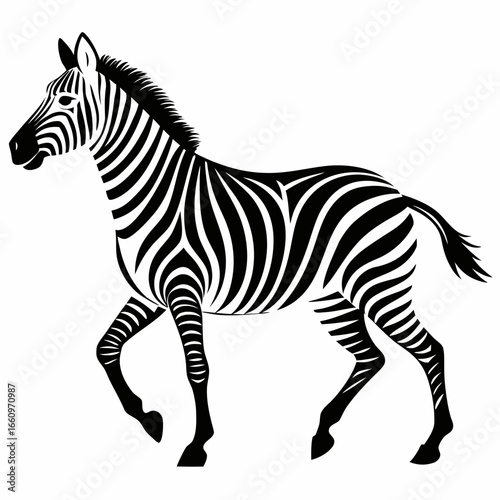 Elegant black and white zebra illustration, perfect for safari themes, wildlife art, and modern design projects.