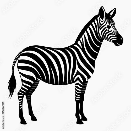 Striking black and white zebra graphic captures wild elegance and natural beauty