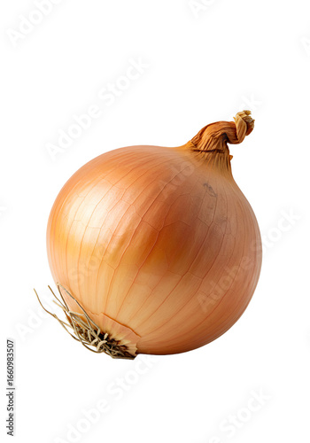 Wallpaper Mural Isolated Fresh Yellow Onion with Root Torontodigital.ca