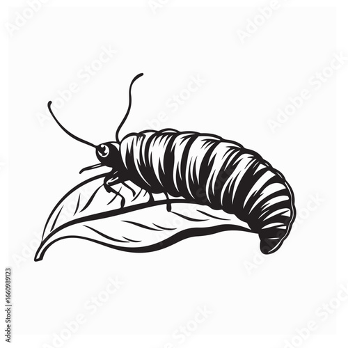 Vector Illustration of Silkworm Crawling on Green Mulberry Leaf
