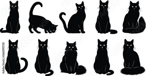 Black cat silhouette vector set featuring various poses and tail positions for pet, Halloween, lifestyle, and design themes