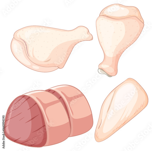 Raw Chicken and Beef Cuts Vector Illustration
