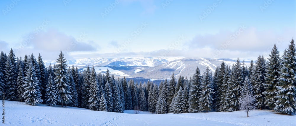 Obraz premium winter landscape in the mountains