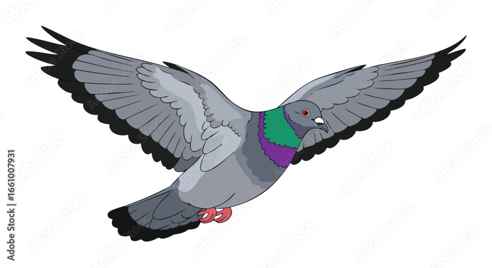 Fototapeta premium Soaring Dove Vector Illustration with Graceful Wings on a White Background for Graphic Design Projects